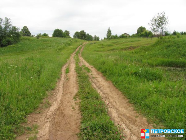 Волосово - дорога на поле