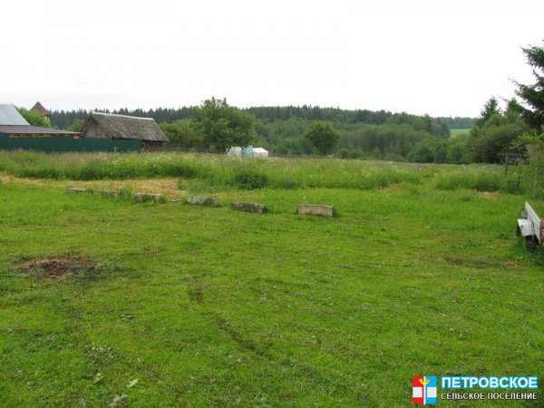 Волосово - вид на поля и леса из деревни