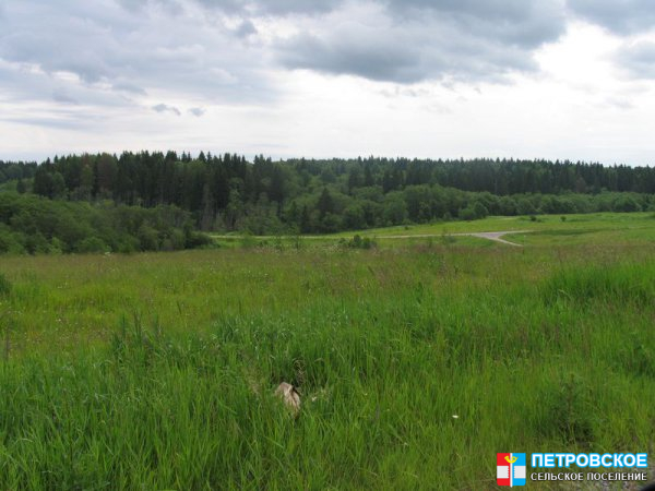 Горицы - вид на дорогу к Волосово