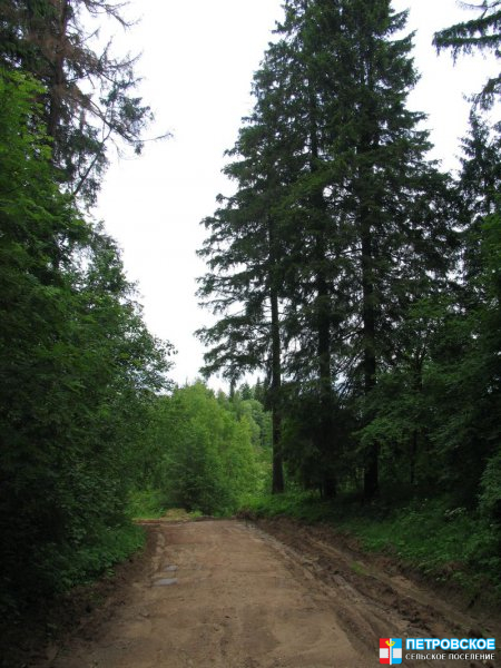 Горицы - дорога в карьер.