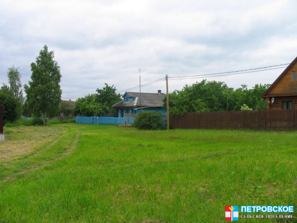 Ногово - лужайка