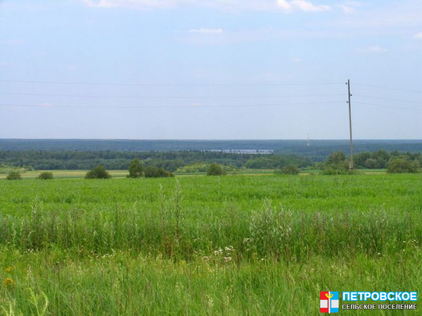 Пруды Клинского рыбхоза - вид издалека