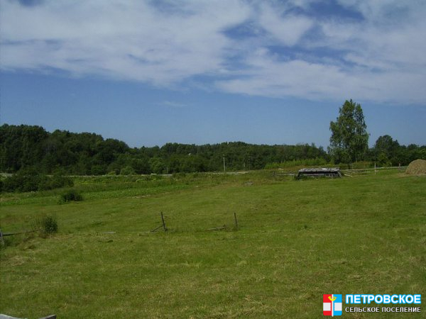 Петровское - вид на шоссе с луга