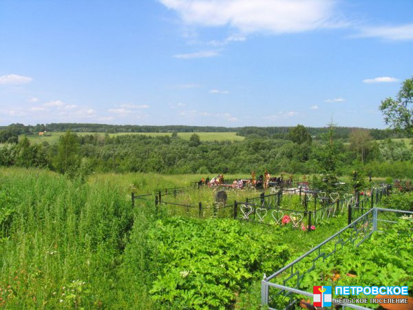 Тархово - кладбище, вид в сторону Ковылино