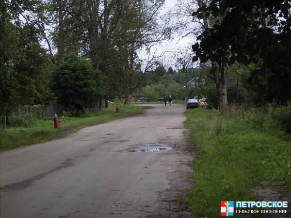 Петровское - вид вдоль дороги