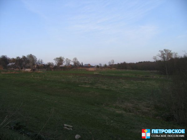 Петровское  - вид с шоссе на огороды и луг