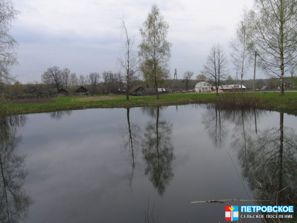 Петровское - остановочный пруд - вид на село