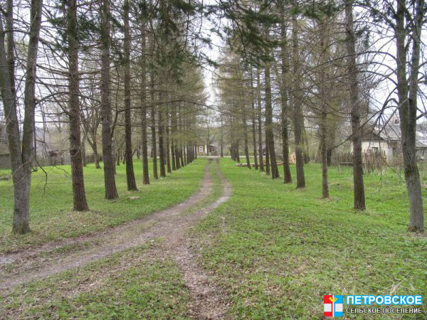 Петровское - Усагинский парк