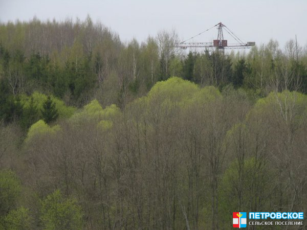 Лес и кран