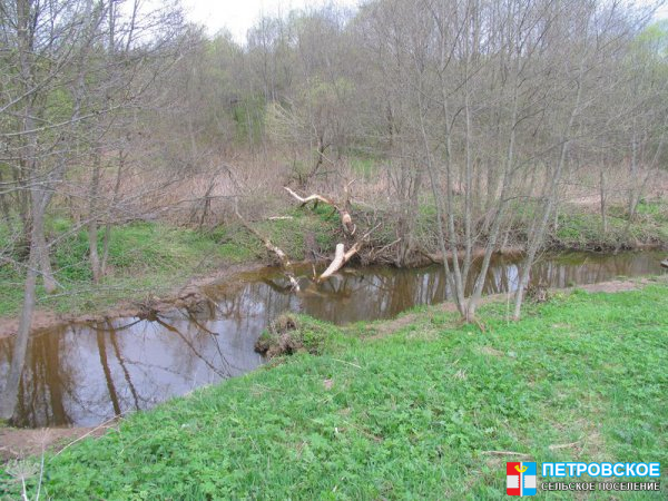 Речка и упавшее дерево