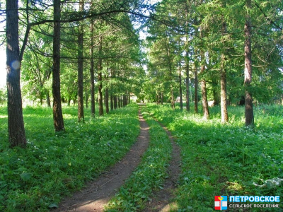 Петровское - Усагинский парк