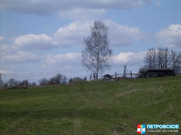 Петровское - береза у шоссе