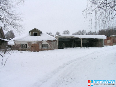 Петровское - магазины