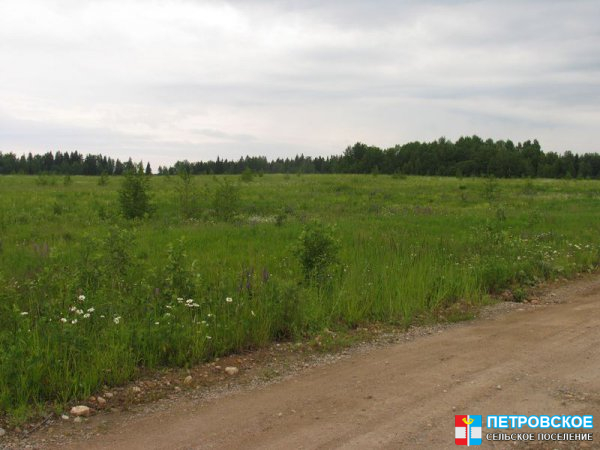 Волосово - поле перед деревней